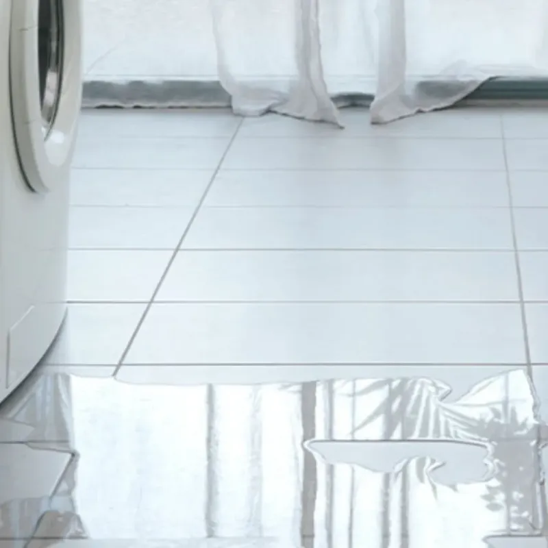 Appliance Leak Cleanup in Garden City, MO