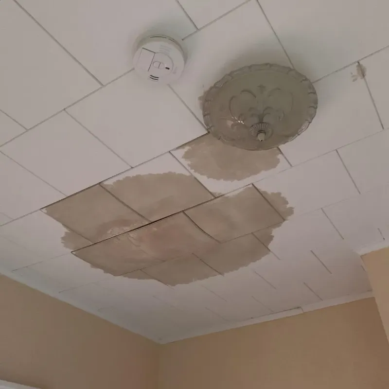 Ceiling Water Damage Repair in Garden City, MO
