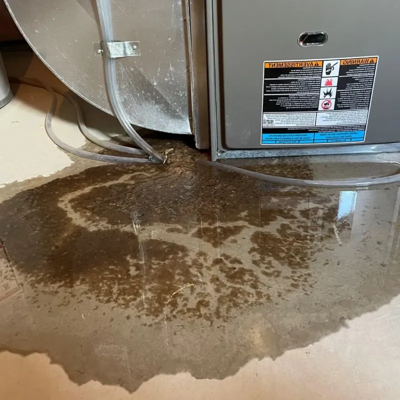 Pipe Burst and Leak Restoration in Garden City, MO