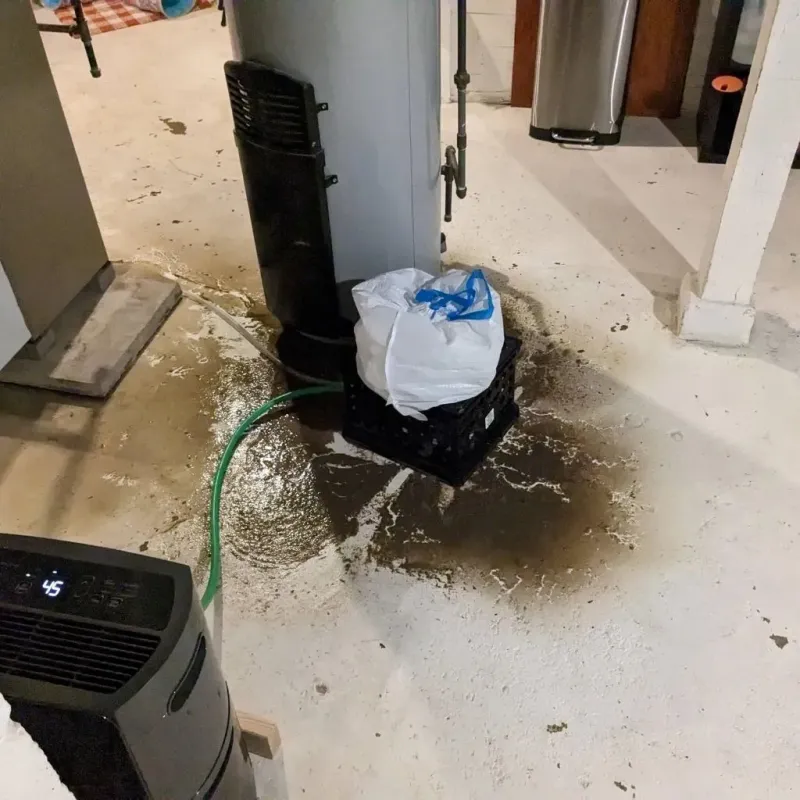 Sewage Backup Cleanup Service in Garden City, MO